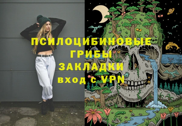 герыч Алексин