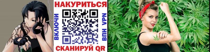Бошки марихуана VHQ  где купить наркотик  Беломорск 